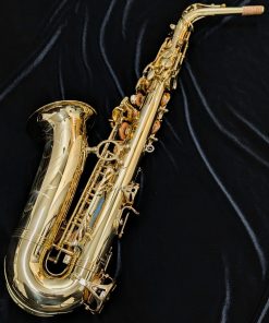 Lightly Used Yanagisawa AWO1 Pro Alto Saxophone #00419133 - Back of Sax