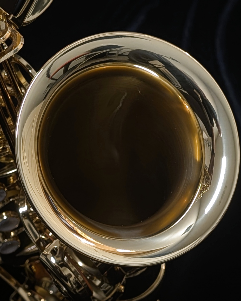 Lightly Used Yanagisawa AWO1 Pro Alto Saxophone #00419133 - In Bell