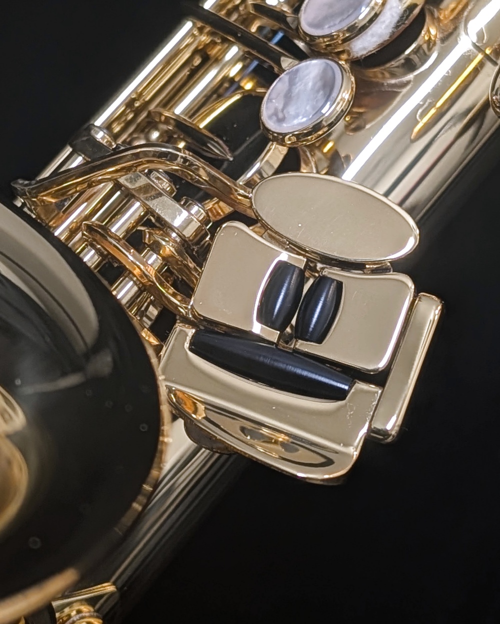 Lightly Used Yanagisawa AWO1 Pro Alto Saxophone #00419133 - Left Hand Pinky