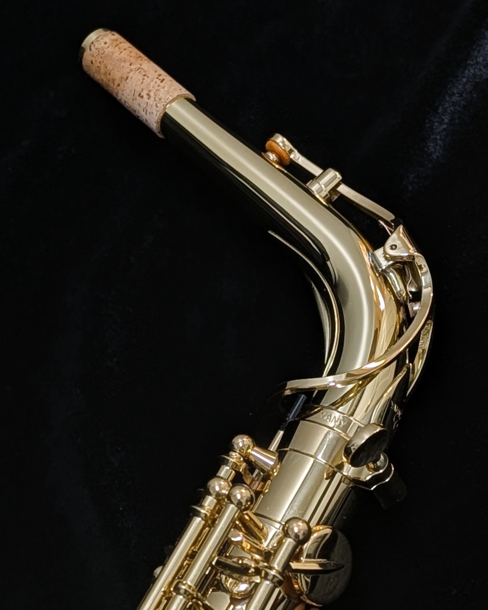 Lightly Used Yanagisawa AWO1 Pro Alto Saxophone #00419133 -