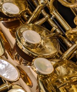 Yanagisawa AWO32 Alto Sax - RH Cups