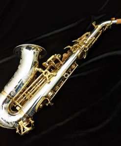 Yanagisawa SCWO37 Sterling Silver Curved Soprano Sax - Back of Sax