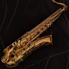 Lightly Used Yanagisawa T902 Bronze Tenor Sax #00335629 - Sax