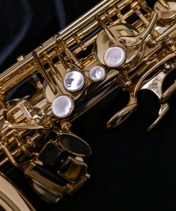 New Yanagisawa TWO1 Tenor Sax - Left Hand