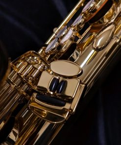 New Yanagisawa TWO1 Tenor Sax - Left Hand Pinky