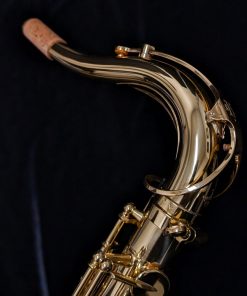 New Yanagisawa TWO1 Tenor Sax - Neck
