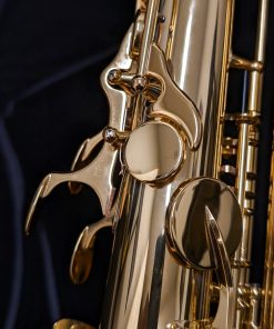 New Yanagisawa TWO1 Tenor Sax - Octave
