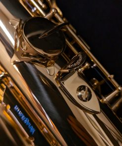 New Yanagisawa TWO1 Tenor Sax - Thumb