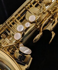 Yanagisawa TWO10 Elite Series Tenor Saxophone - Left Hand
