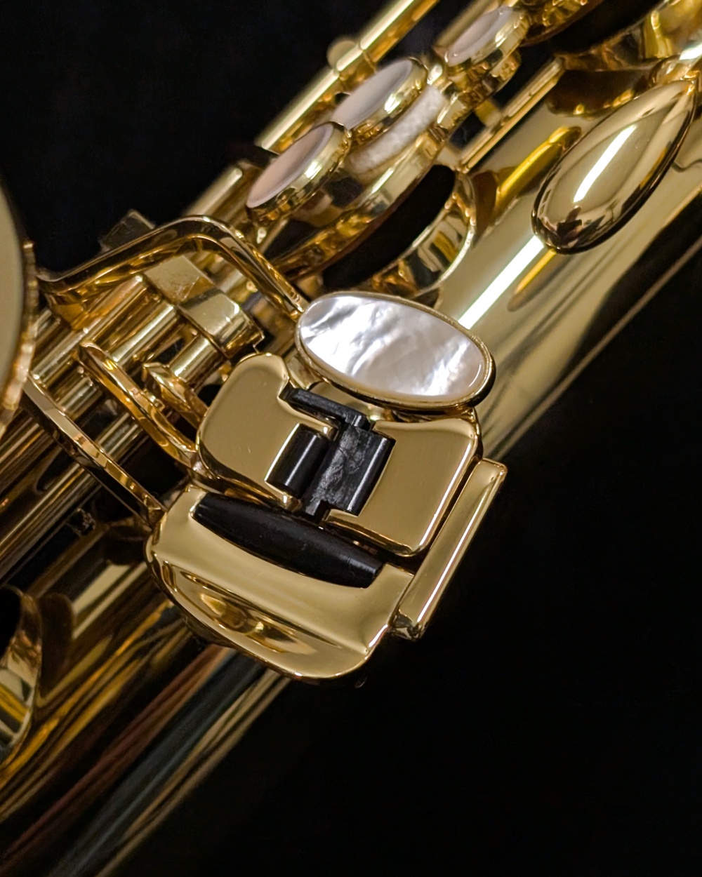 Yanagisawa TWO10 Elite Series Tenor Saxophone - Left Hand Pinky