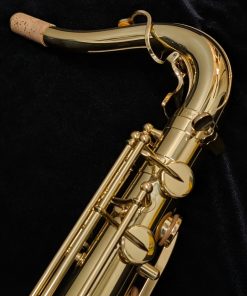 Yanagisawa TWO10 Elite Series Tenor Saxophone - Neck