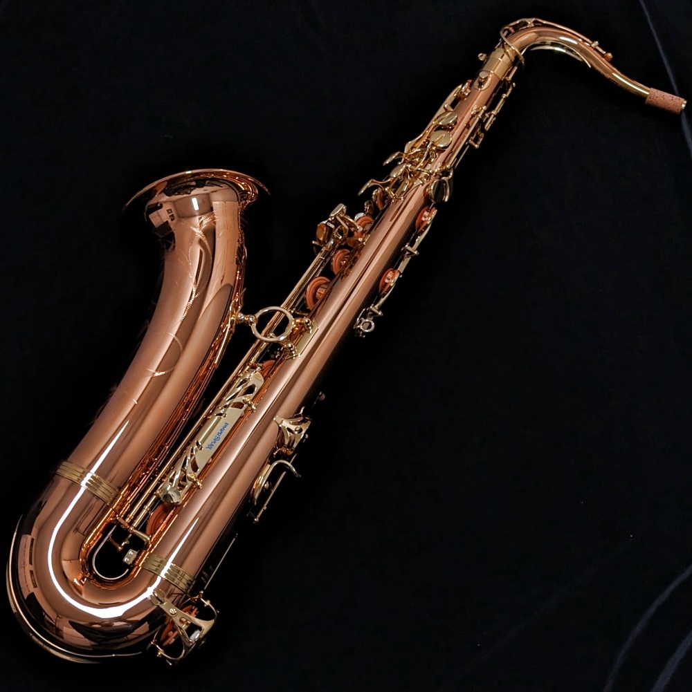 Yanagisawa TWO2 Professional Bronze Tenor Saxophone - Back