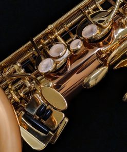 Yanagisawa TWO2 Professional Bronze Tenor Saxophone - Left Hand