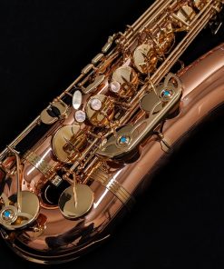 Yanagisawa TWO2 Professional Bronze Tenor Saxophone - Keyguard