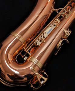 Yanagisawa TWO2 Professional Bronze Tenor Saxophone - Back of Bow