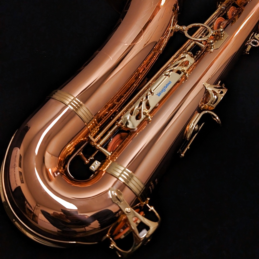 Yanagisawa TWO2 Professional Bronze Tenor Saxophone - Back of Bow