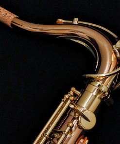 Yanagisawa TWO2 Professional Bronze Tenor Saxophone - Neck