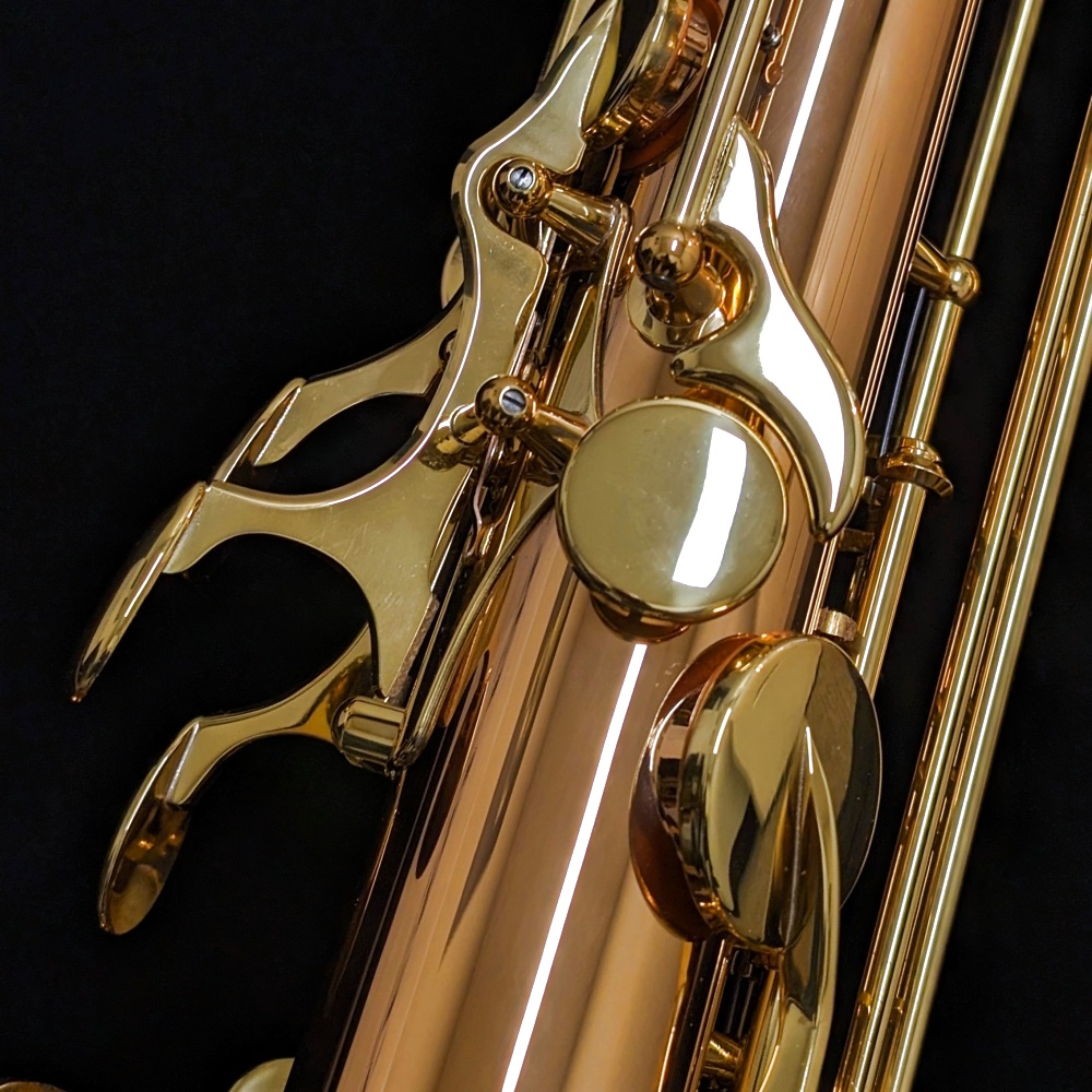 Yanagisawa TWO2 Professional Bronze Tenor Saxophone - Octave
