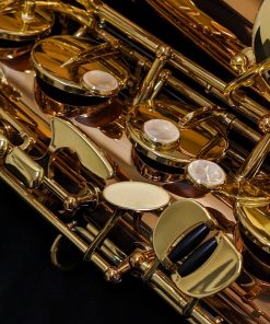 Yanagisawa TWO2 Professional Bronze Tenor Saxophone - Right Hand
