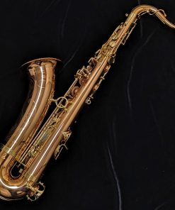 Yanagisawa TWO20 Elite Series Bronze Tenor Saxophone - Back