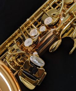 Yanagisawa TWO20 Elite Series Bronze Tenor Saxophone - Left Hand