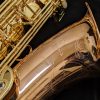 Yanagisawa TWO20 Elite Series Bronze Tenor Saxophone - Logo