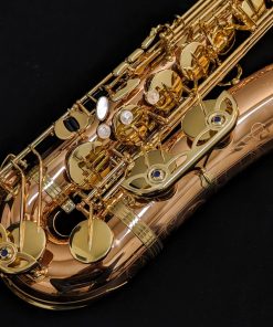Yanagisawa TWO20 Elite Series Bronze Tenor Saxophone - Keyguards