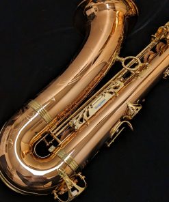 Yanagisawa TWO20 Elite Series Bronze Tenor Saxophone - Lower Backside