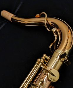 Yanagisawa TWO20 Elite Series Bronze Tenor Saxophone - Neck