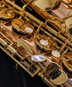 Yanagisawa TWO20 Elite Series Bronze Tenor Saxophone - Right Hand