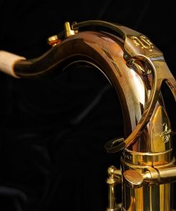 Lightly Used Yanagisawa TWO2UL Unlacquered Tenor Sax - 00396061- Neck