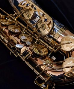 Yanagisawa TWO32 Silver & Bronze Elite Tenor Saxophone - Double Arms