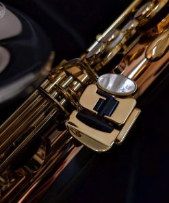 Yanagisawa TWO32 Silver & Bronze Elite Tenor Saxophone - Left Hand Pinky