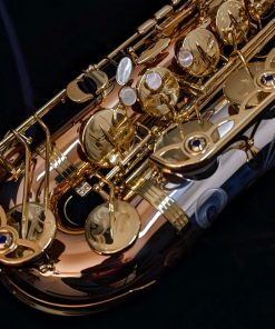 Yanagisawa TWO32 Silver & Bronze Elite Tenor Saxophone - Keyguard