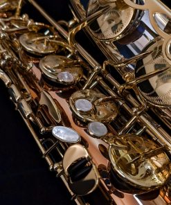 Yanagisawa TWO32 Silver & Bronze Elite Tenor Saxophone - Right Hand