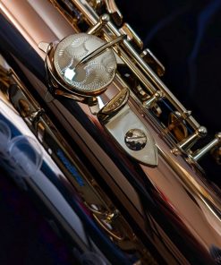 Yanagisawa TWO32 Silver & Bronze Elite Tenor Saxophone - Thumb